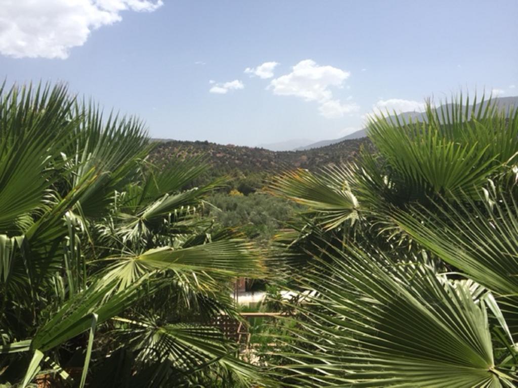 فندق Domaine Malika - Adults Only ويرڭان المظهر الخارجي الصورة